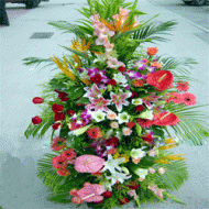 国庆节鲜花,花香鸟语
